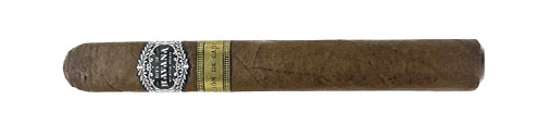 Warped - Bits of Havana Seleccion de Capital LE 2024